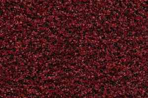 Грязезащитные покрытия Forbo Coral Brush 5706 brick red фото  | FLOORDEALER